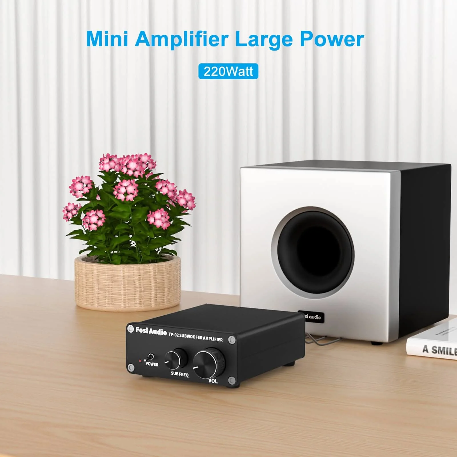 Fosi Audio TP-02 Subwoofer Amplifier - Image 3